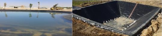 Pond Lining